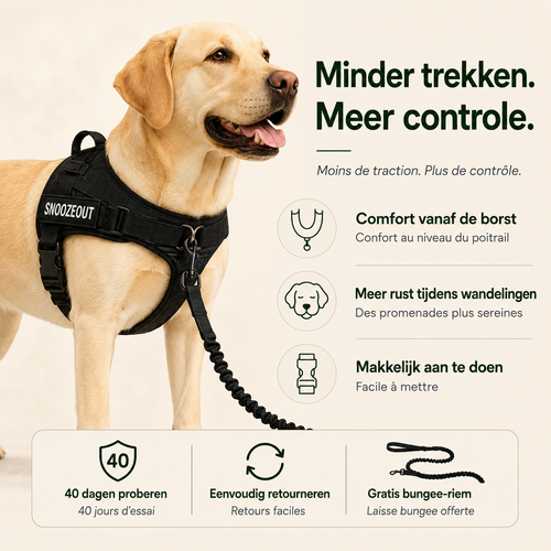 Antitrek Tuig voor Honden: Rustiger Wandelen
