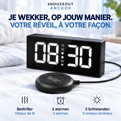 Anchor: bedtriller, twee alarmen en vijf helderheidsstanden / Anchor : vibreur de lit, deux alarmes et cinq niveaux de luminosité